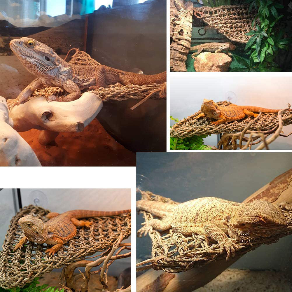 AUBBC Bearded Dragon Hammock, 100% Natural Seagrass Triangular Lizard Lounger with Jungle Climber Vines Reptile Leaves Hooks for Geckos, Anoles, Snakes and More (12.5 X16.5 Inch) Animals & Pet Supplies > Pet Supplies > Reptile & Amphibian Supplies > Reptile & Amphibian Habitat Accessories AUBBC   