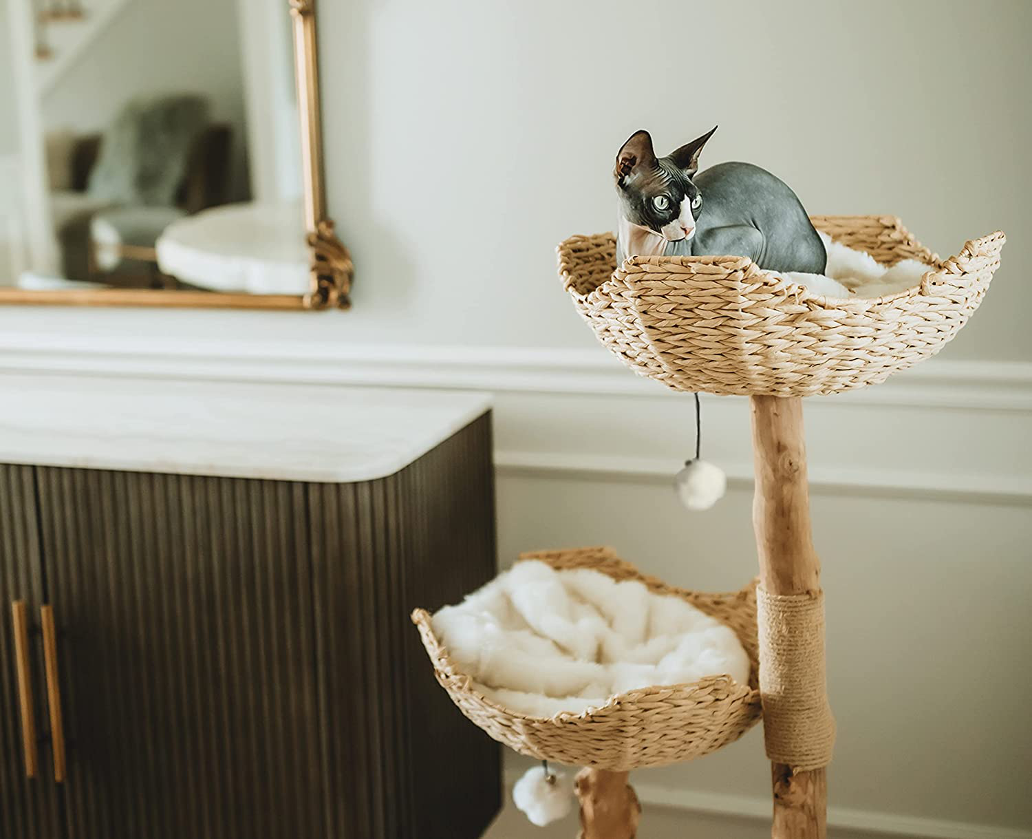 Luxury cat tower online