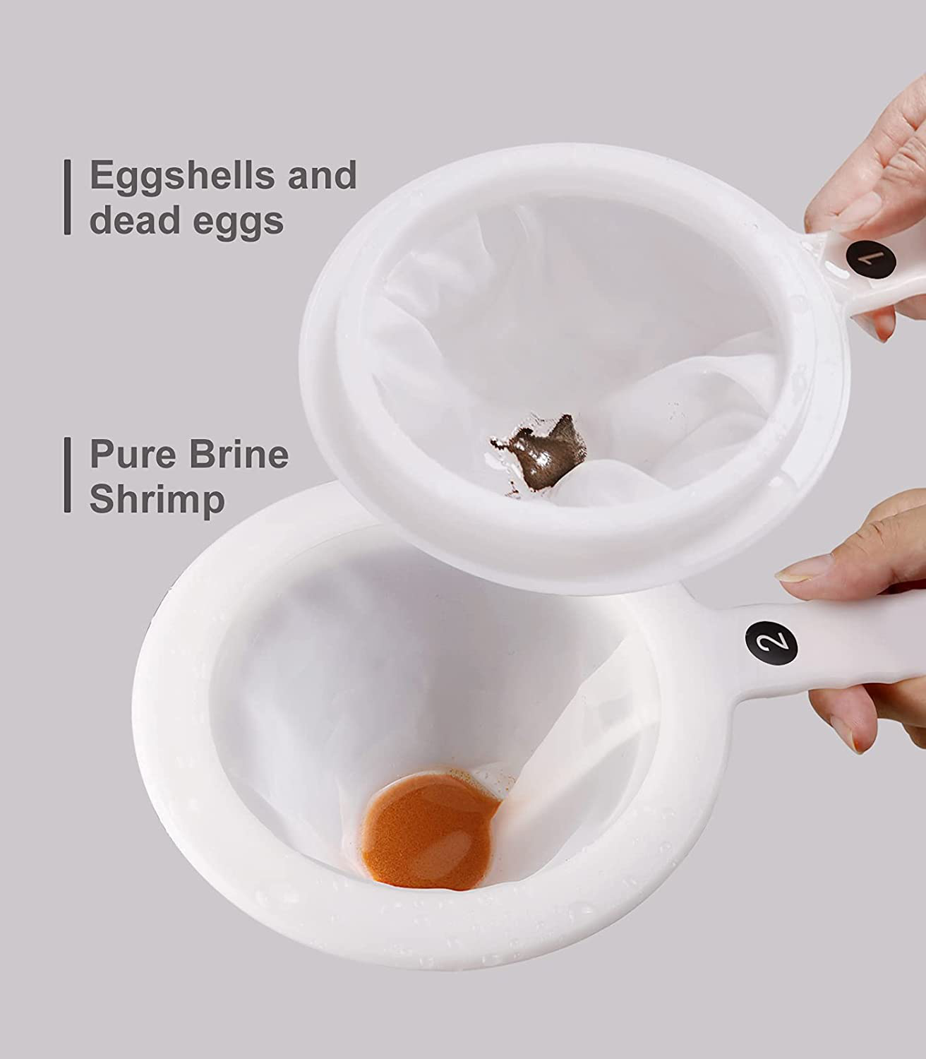 Clscea Aquarium Baby Brine Shrimp Sieve Eggshell Separator Artemia Collecting Net Kit 80 Mesh 200 Mesh for Brine Shrimp Hatchery Animals & Pet Supplies > Pet Supplies > Fish Supplies > Aquarium Fish Nets Clscea   