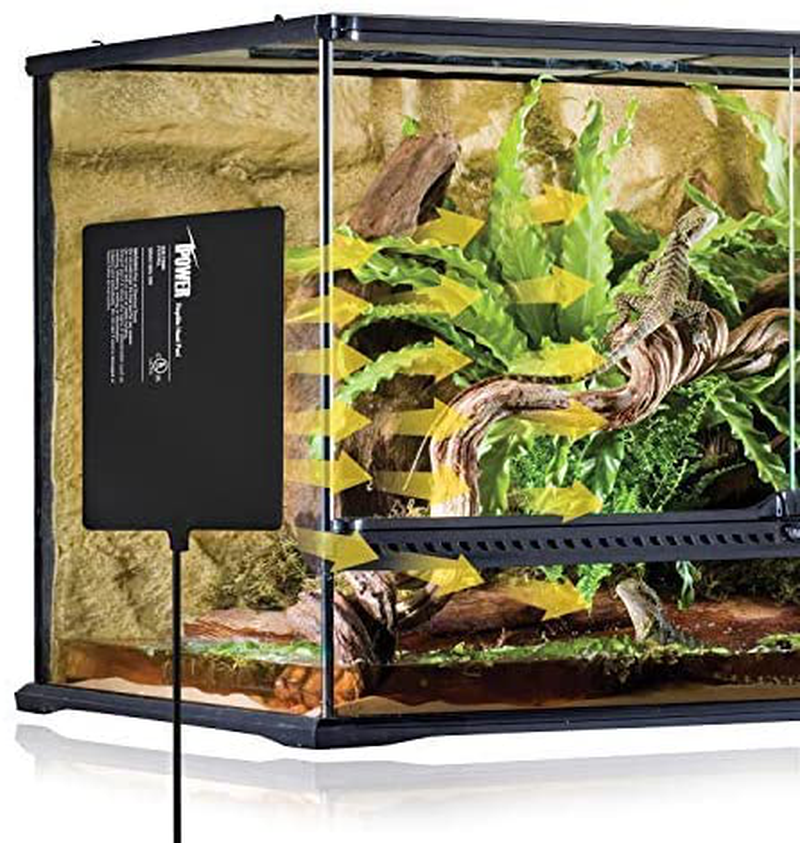 Ipower 8 by 12-Inch Reptile Heat Mat under Tank Heater Terrarium Heating Pad Ideal for Spider Snake Tarantula Hermit Crab Turtle, Black