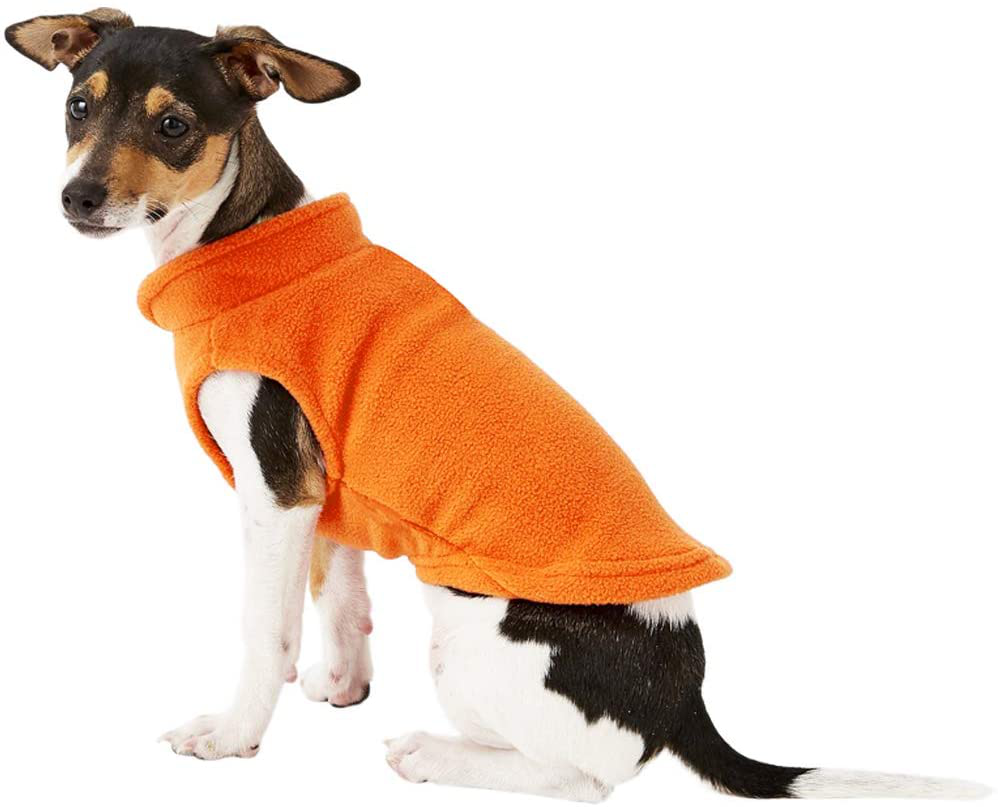 Droolingdog Dog Cat Fleece Vest for Small Dogs Animals & Pet Supplies > Pet Supplies > Cat Supplies > Cat Apparel DroolingDog Orange Medium (Chest: 15.3'' Back: 11.8'') 