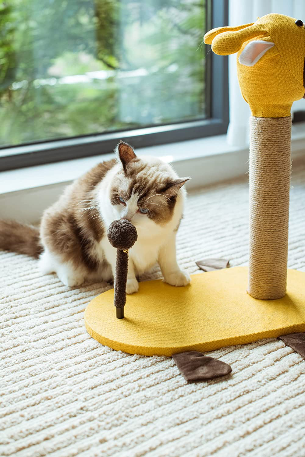 Catry Cat Scratching Post Animals & Pet Supplies > Pet Supplies > Cat Supplies > Cat Furniture Catry   