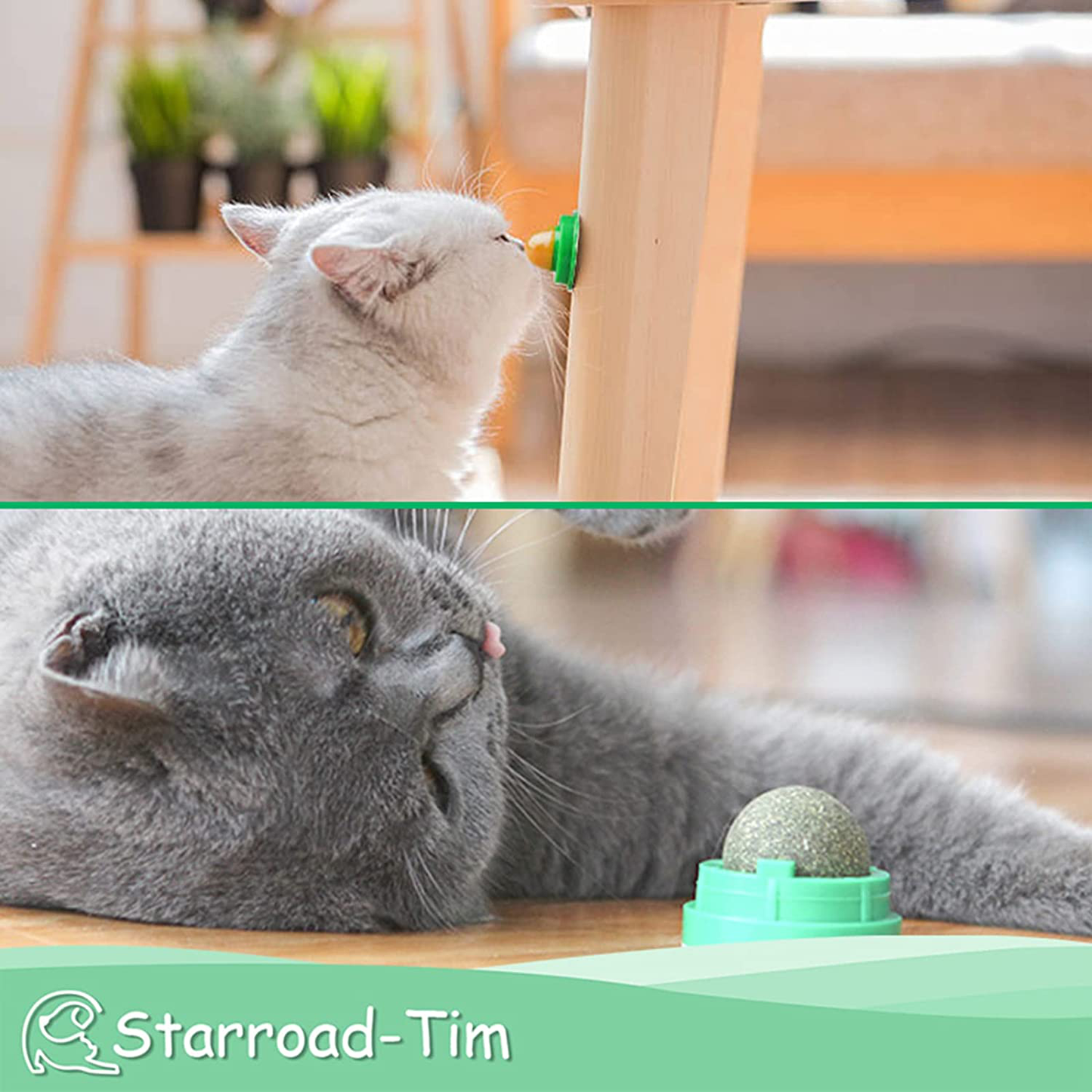 STARROAD-TIM Catnip Balls Catnip Toy for Cats Rotatable Edible Balls Natural Healthy Self-Adhesive Catnip Edible Balls Animals & Pet Supplies > Pet Supplies > Cat Supplies > Cat Toys STARROAD-TIM   