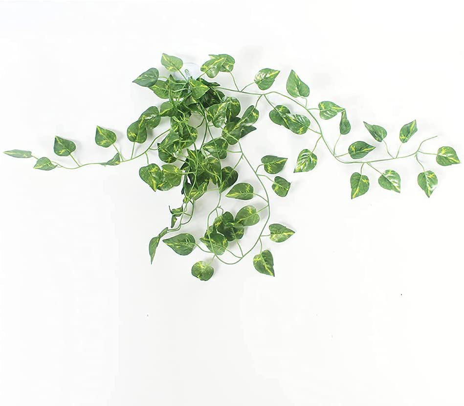 Reptile Silk Plant Leaves with Suction Cups Andwater Licking Leaves Terrarium Habitat Aquarium Amphibian Accessories, (5) (5) (S) (M) Animals & Pet Supplies > Pet Supplies > Reptile & Amphibian Supplies > Reptile & Amphibian Habitat Accessories Qiulogfen   