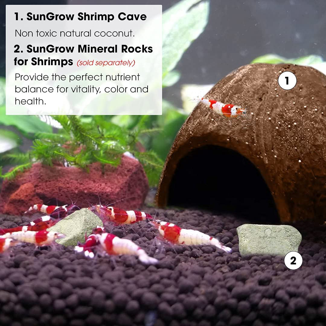Sungrow Coco Shrimp Cave, Comfortable Shelter and Breeding Area for Crustaceans, Aquarium Decor, Ideal for Swimming in & Out, Encourages Shedding, 1 Pc Animals & Pet Supplies > Pet Supplies > Fish Supplies > Aquarium Decor SunGrow   