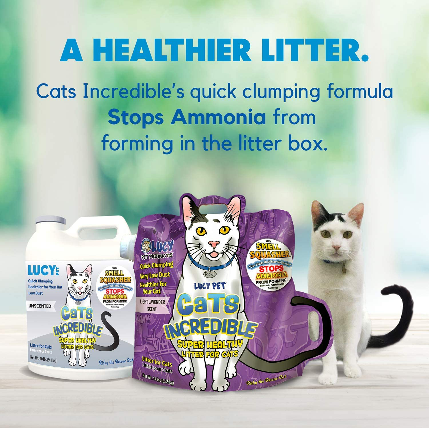 Cats incredible cheap litter