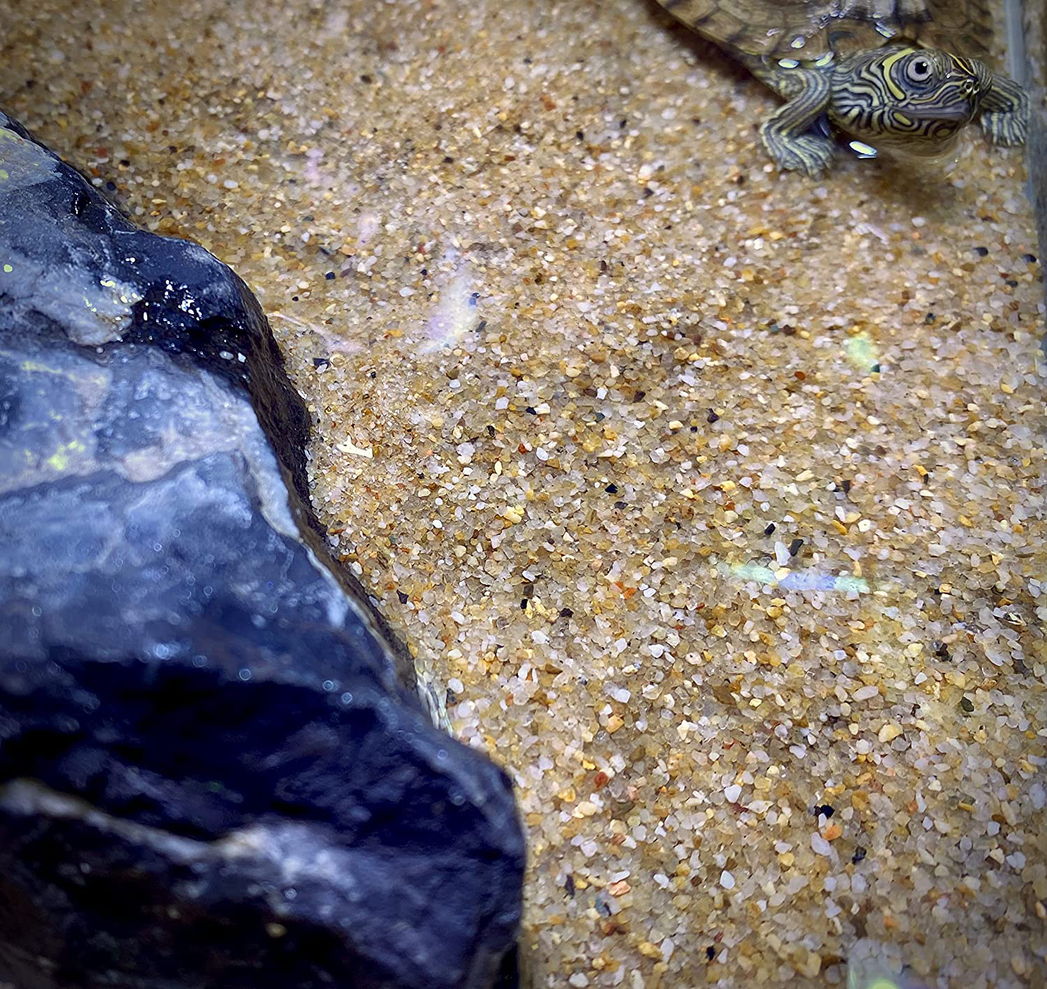 Sable d'aquarium, mini pierre naturelle sable gravier aménagement paysager  décoration sable de purification de l'eau sans pollution disponible pour