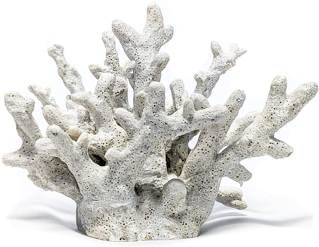 Nautical Crush Trading Decorative Sea Coral - 4In X 3.5In X 2.5In - Small White Coral for Beachy Decor - Perfect for Aquariums - Fish Tanks Animals & Pet Supplies > Pet Supplies > Fish Supplies > Aquarium Decor Nautical Crush Trading Large  