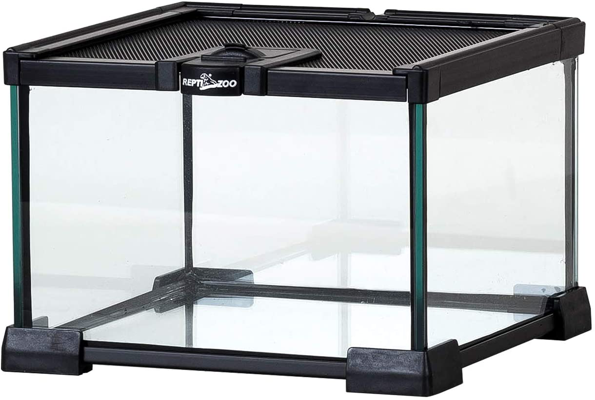 REPTI ZOO Mini Reptile Glass Terrarium Tank Full View Visually Appealing Reptile Glass Habitat Cage 8" X 8"X 6"