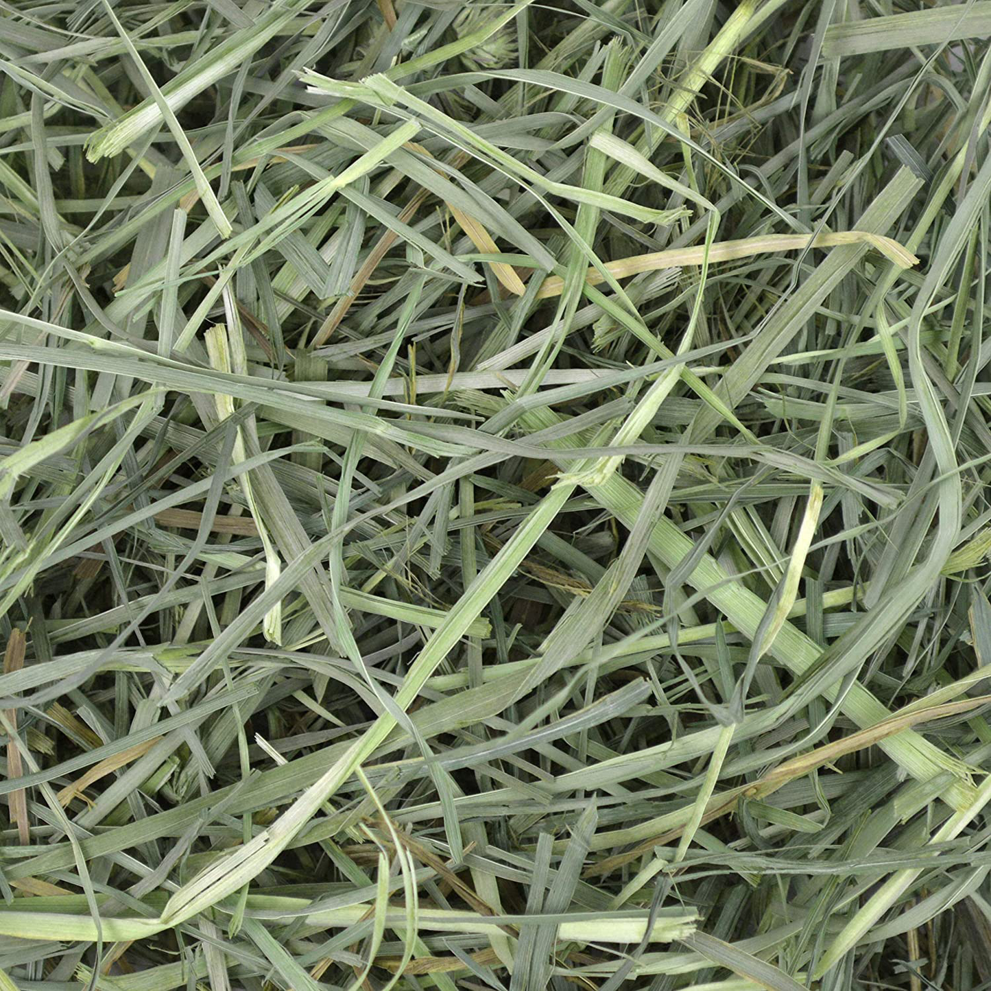 Oxbow Animal Health Orchard Grass Hay - All Natural Grass Hay for Chinchillas, Rabbits, Guinea Pigs, Hamsters & Gerbils Bulk Size Animals & Pet Supplies > Pet Supplies > Small Animal Supplies > Small Animal Food Oxbow Animal Health LLC   