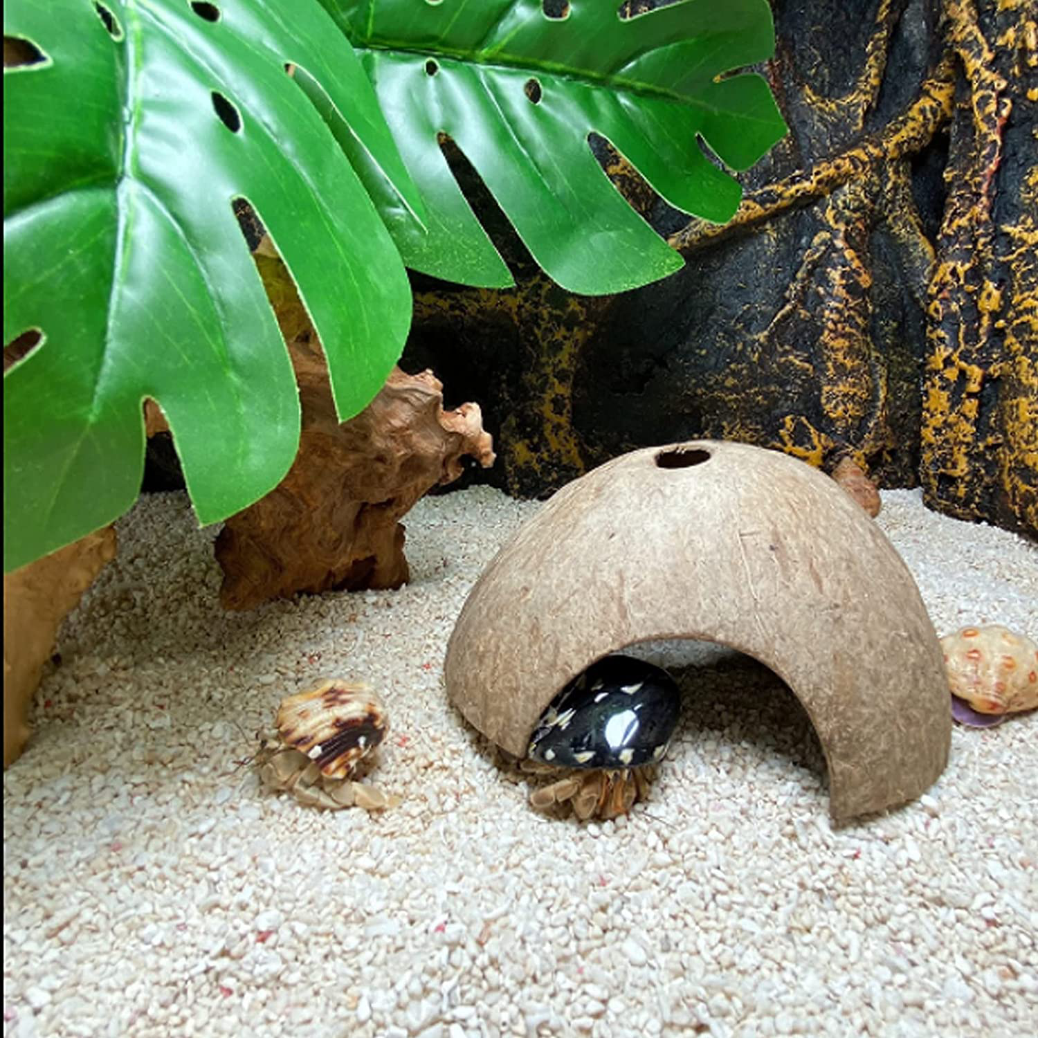 HERCOCCI Leopard Gecko Tank Accessories, Coconut Shell Hideout Cave Reptile Climbing Vine Habitat Decor with Hanging Reptile Plants for Chameleon Lizard Snake Hermit Crab Animals & Pet Supplies > Pet Supplies > Small Animal Supplies > Small Animal Habitat Accessories HERCOCCI   