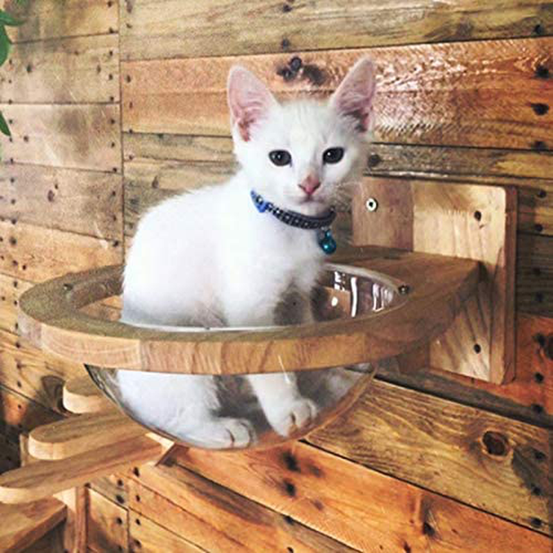 TINTON LIFE Wall-Mounted Wooden Cat Space Clear Capsule Cat Bed Small Pets Bed Cat Toy Cat Furniture(Large Capsule)