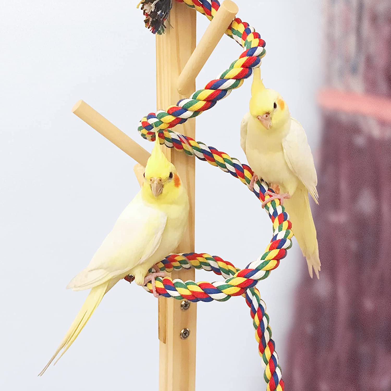 Aumuca Bird Perch Stand Bird Rope Perch Bird Toys 3 Pcs for Parakeets Cockatiels, Conures, Macaws, Lovebirds, Finches Animals & Pet Supplies > Pet Supplies > Bird Supplies > Bird Cage Accessories Aumuca   