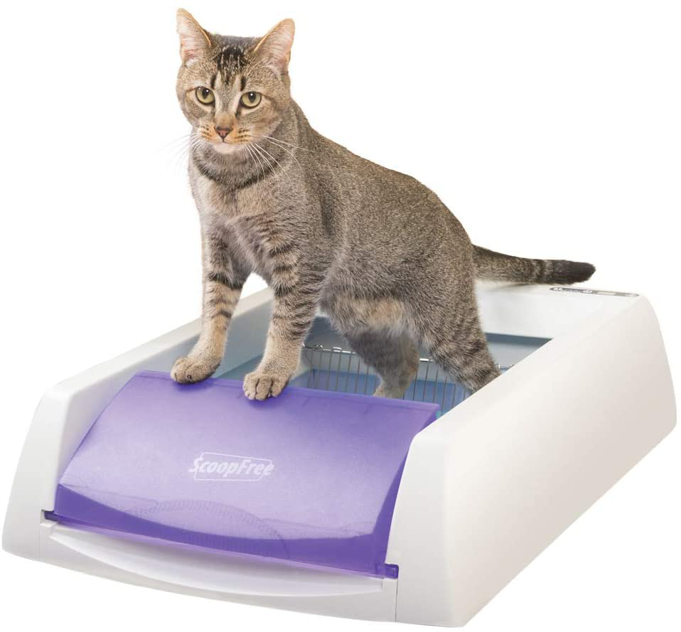 Petsafe Scoopfree Original Automatic Self-Cleaning Cat Litter Boxes - Purple or Taupe - Ultra with Health Counter - Includes Disposable Litter Tray with 4.5 Lb Premium Blue Crystal Cat Litter Animals & Pet Supplies > Pet Supplies > Cat Supplies > Cat Furniture PetSafe Purple Uncovered 