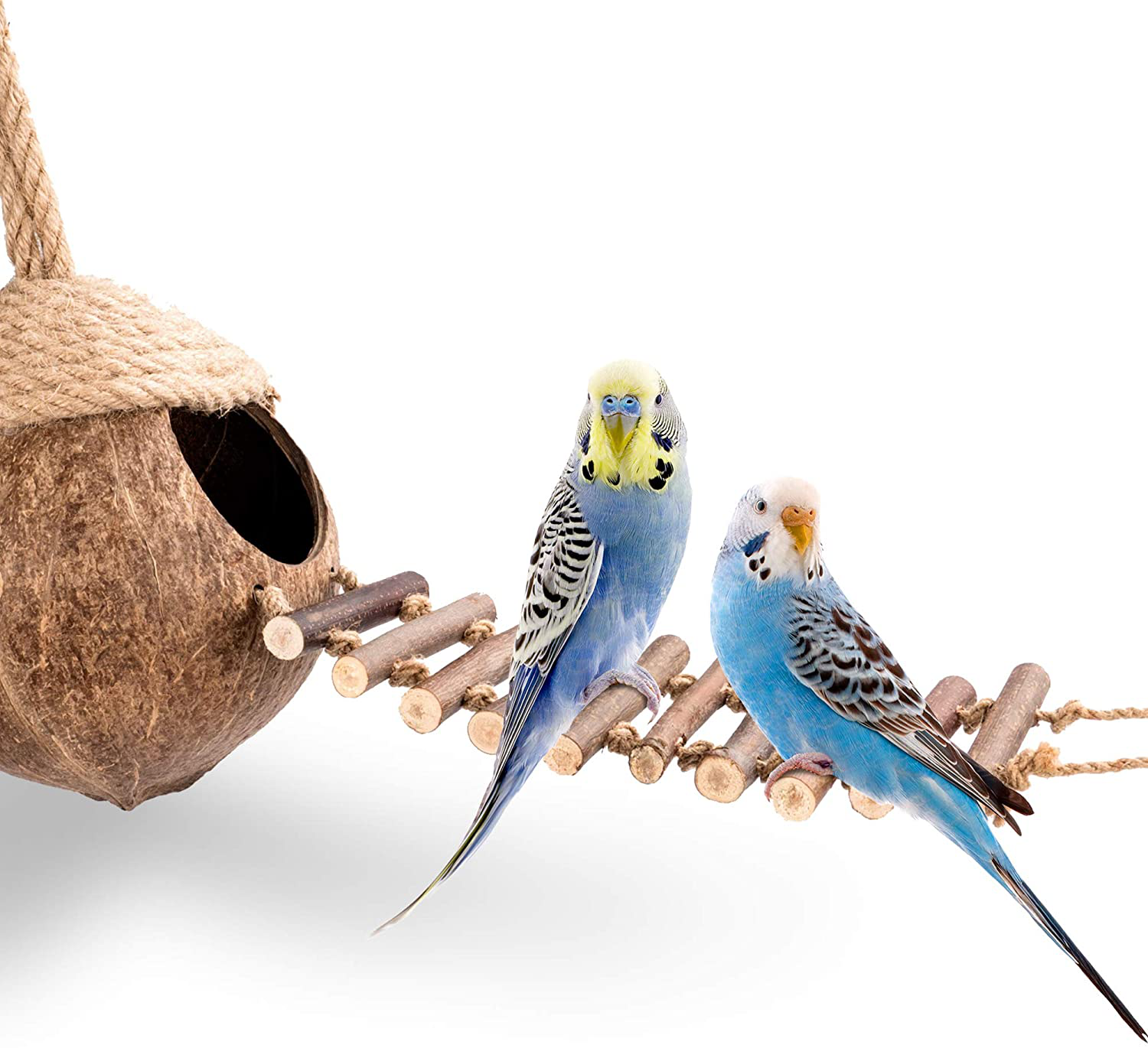 Andwe Coconut Bird Nest Hut with Ladder for Parrots Parakeet Conures Cockatiel - Small Animals House Pet Cage Habitats Decor Animals & Pet Supplies > Pet Supplies > Small Animal Supplies > Small Animal Habitats & Cages andwe   