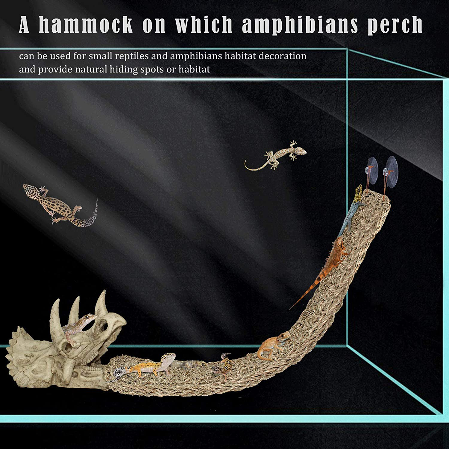 PINVNBY Reptiles Bearded Dragon Tank Accessories Resin Dinosaur Triceratops Skull Hide Amphibians Habitat Hammock Hideouts Cave Aquarium Decorations for Lizard Chameleon Snake Frog Spider Gecko Animals & Pet Supplies > Pet Supplies > Reptile & Amphibian Supplies > Reptile & Amphibian Habitat Accessories PINVNBY   