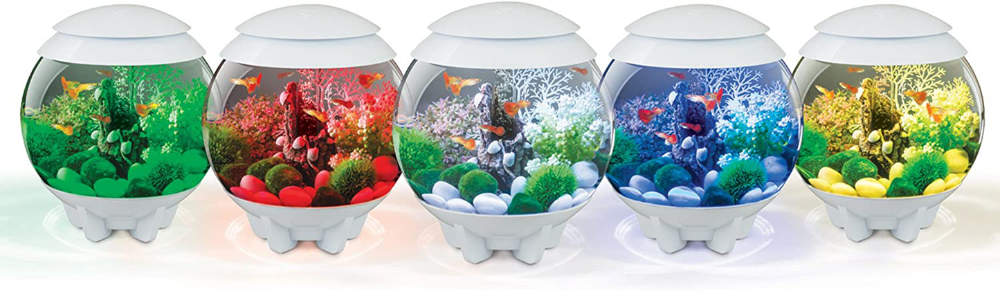 Biorb Halo Aquarium Animals & Pet Supplies > Pet Supplies > Fish Supplies > Aquarium Decor biOrb   