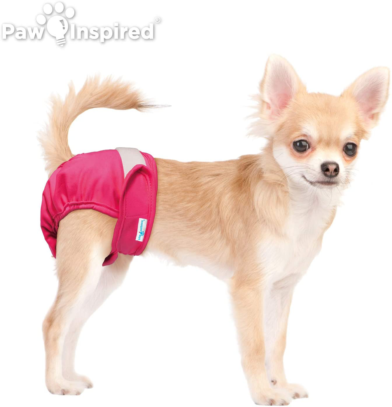 Paw Inspired Washable Dog Diapers | Reusable Dog Diapers | Washable Female Dog Diapers | Cloth Dog Diapers for Dogs in Heat, or Dog Incontinence Diapers Animals & Pet Supplies > Pet Supplies > Dog Supplies > Dog Diaper Pads & Liners Paw Inspired   