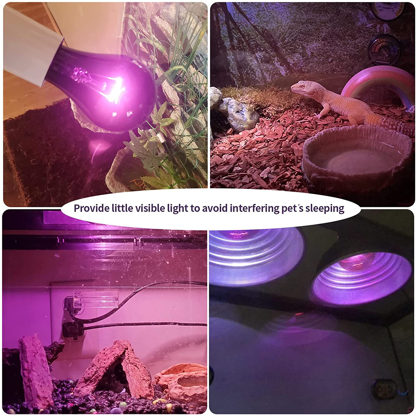 Aomryom 75W 2 Pack Basking Spot Infrared Night Heat Lamp Moonlight Heat Bulb for Reptiles & Amphibians Animals & Pet Supplies > Pet Supplies > Reptile & Amphibian Supplies > Reptile & Amphibian Habitat Heating & Lighting AOMRYOM   