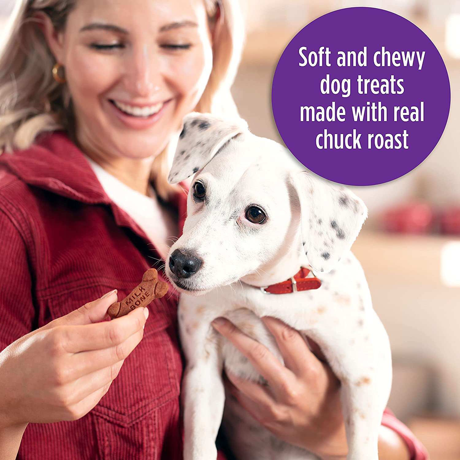 Milk-Bone Soft & Chewy Dog Treats with 12 Vitamins and Minerals Animals & Pet Supplies > Pet Supplies > Dog Supplies > Dog Treats Milk-Bone   