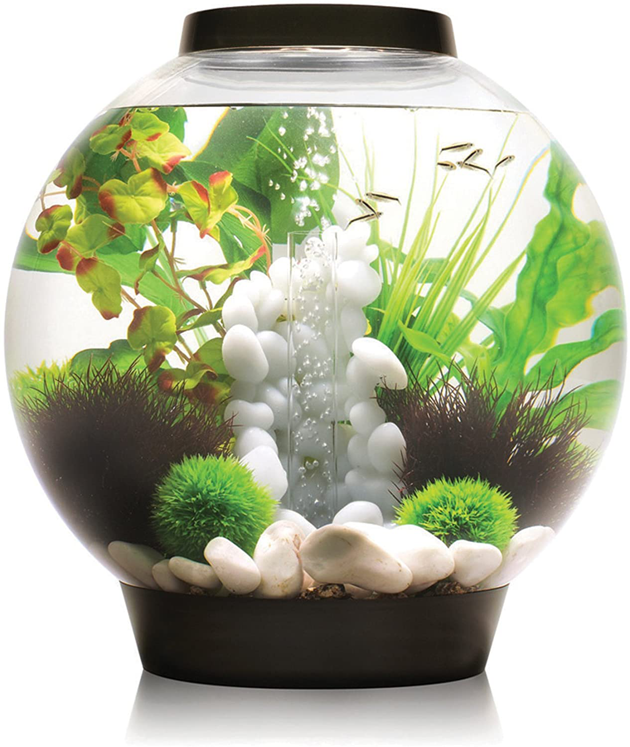 Biorb Classic Aquarium Animals & Pet Supplies > Pet Supplies > Fish Supplies > Aquarium Decor biOrb Black 8 Gallon 