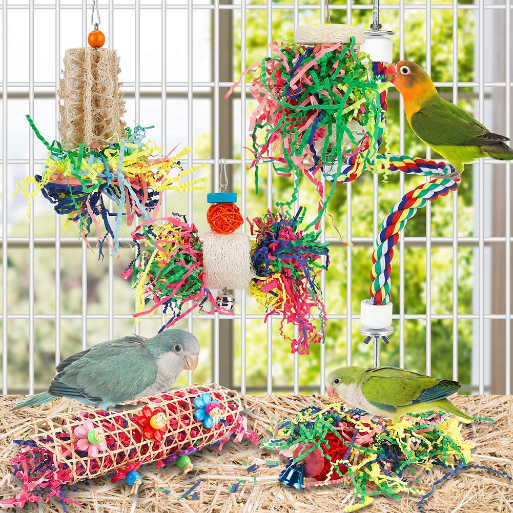 Parrotlet toys shop