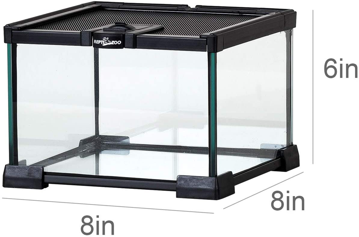 REPTI ZOO Mini Reptile Glass Terrarium Tank Full View Visually Appealing Reptile Glass Habitat Cage 8" X 8"X 6"