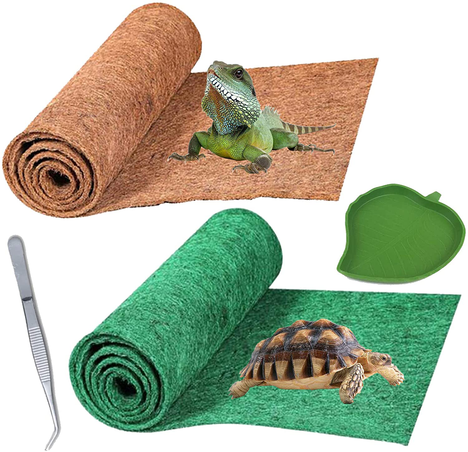 Accessories for tortoises 2025