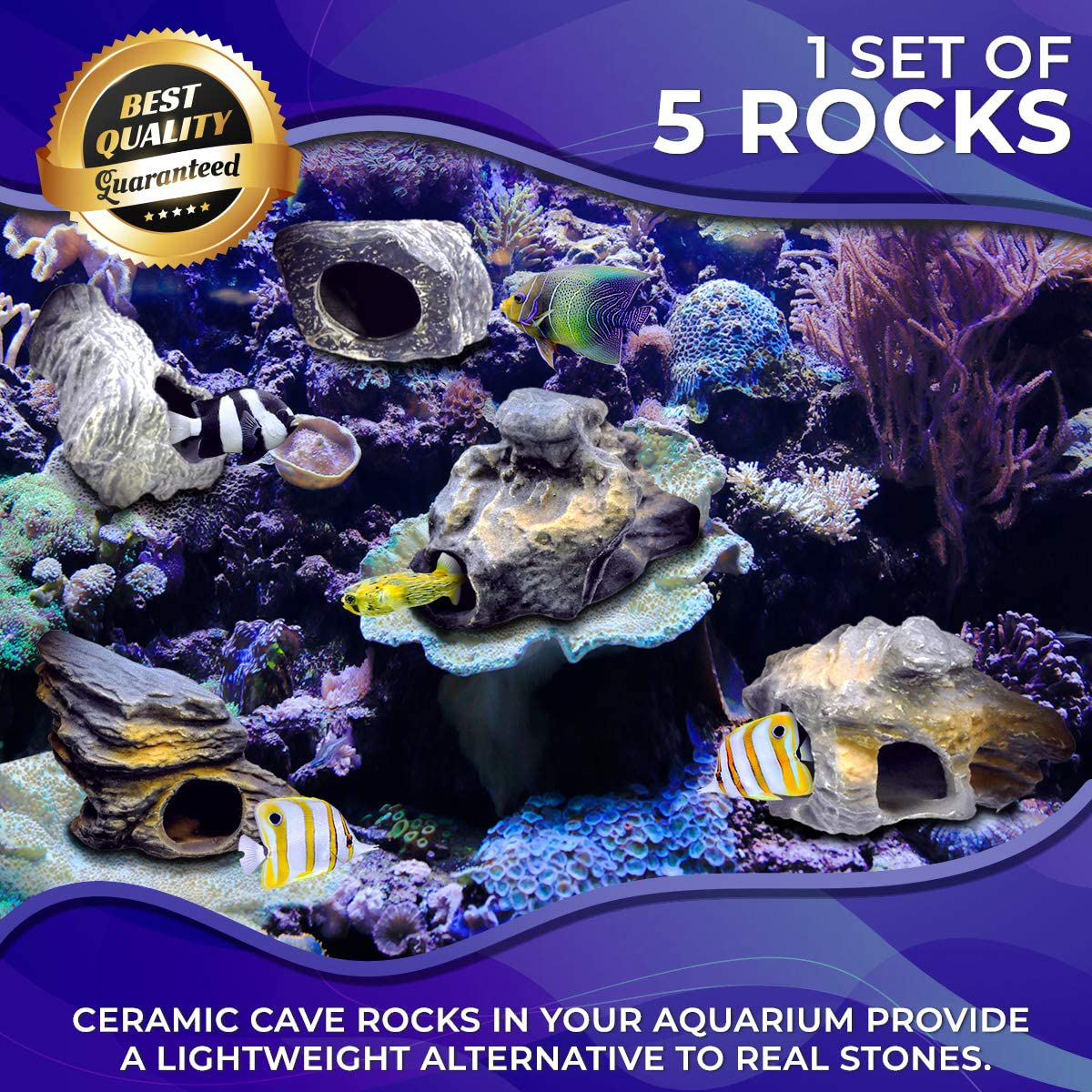 CORISRX BEST of YOUR LIFESTYLE DR. Moss Cichlid Stone 5 Pc Luxury Set - Ceramic Rock Cave Aquarium Decorations - Fish Tank Decor Animals & Pet Supplies > Pet Supplies > Fish Supplies > Aquarium Decor CORISRX BEST OF YOUR LIFESTYLE   