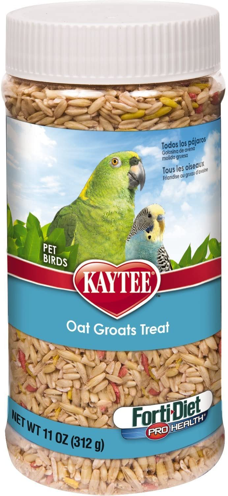 Kaytee Forti-Diet Pro Health Oat Groats Bird Treat, 22 Oz Animals & Pet Supplies > Pet Supplies > Bird Supplies > Bird Treats Kaytee   