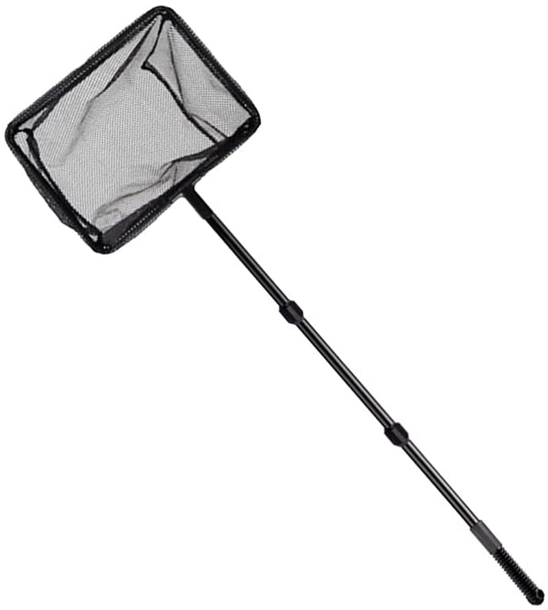 POPETPOP Extendable Fishing Net Plastic Pole Handle Telescopic Landing Net Tuck Net for Fish Tank Lakes Ponds (Size M) Animals & Pet Supplies > Pet Supplies > Fish Supplies > Aquarium Fish Nets POPETPOP   