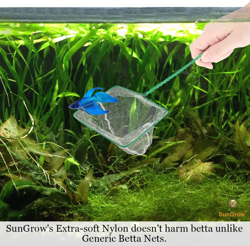 Sungrow Betta Net, 5X4 Inches with 11 Inches Handle, Extra Soft Nylon Net, Easy Routine Tank Maintenance, Random Color Animals & Pet Supplies > Pet Supplies > Fish Supplies > Aquarium Fish Nets SunGrow   