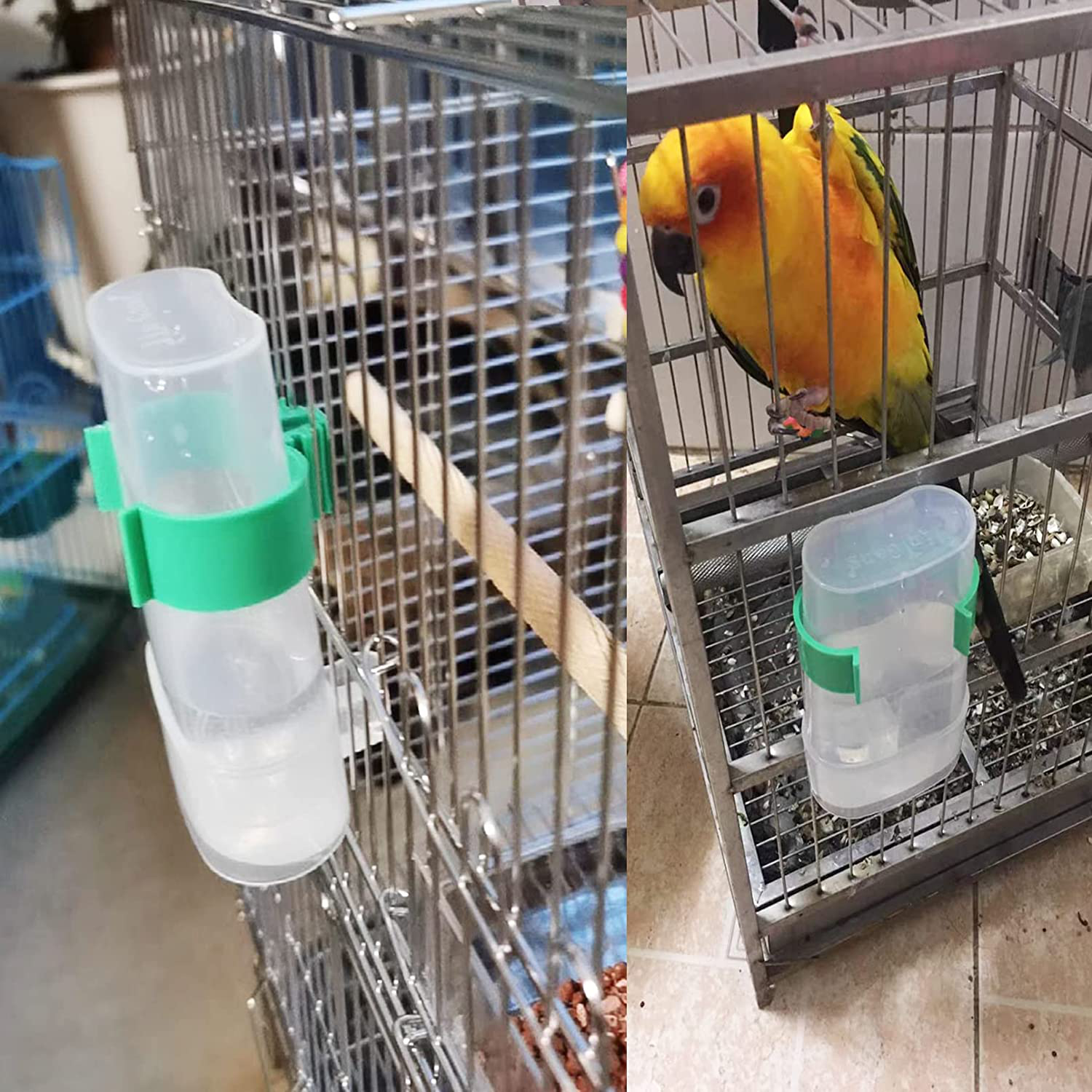 Hamiledyi Parakeet Water Dispenser No Mess Parrot Feeder Parakeet Waterer Cockatiel Cage Accessories,Automatic Feeding for Budgies Finch Canaries Lovebirds(2Pcs) Animals & Pet Supplies > Pet Supplies > Bird Supplies > Bird Cage Accessories BLSMU   