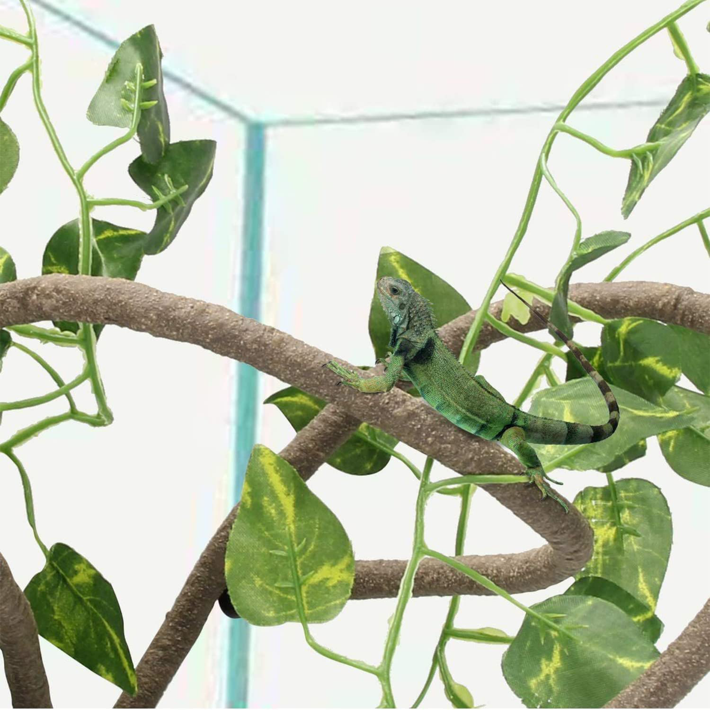 Claymmny 5-In-1 Reptile Terrarium Decoration Set, Bearded Dragon Hammock with Jungle Vines Artificial Plants Leaves & Suction Cup Habitat Accessories for Climbing Chameleon Hermit Crab Lizards Gecko Animals & Pet Supplies > Pet Supplies > Reptile & Amphibian Supplies > Reptile & Amphibian Habitat Accessories Calymmny   