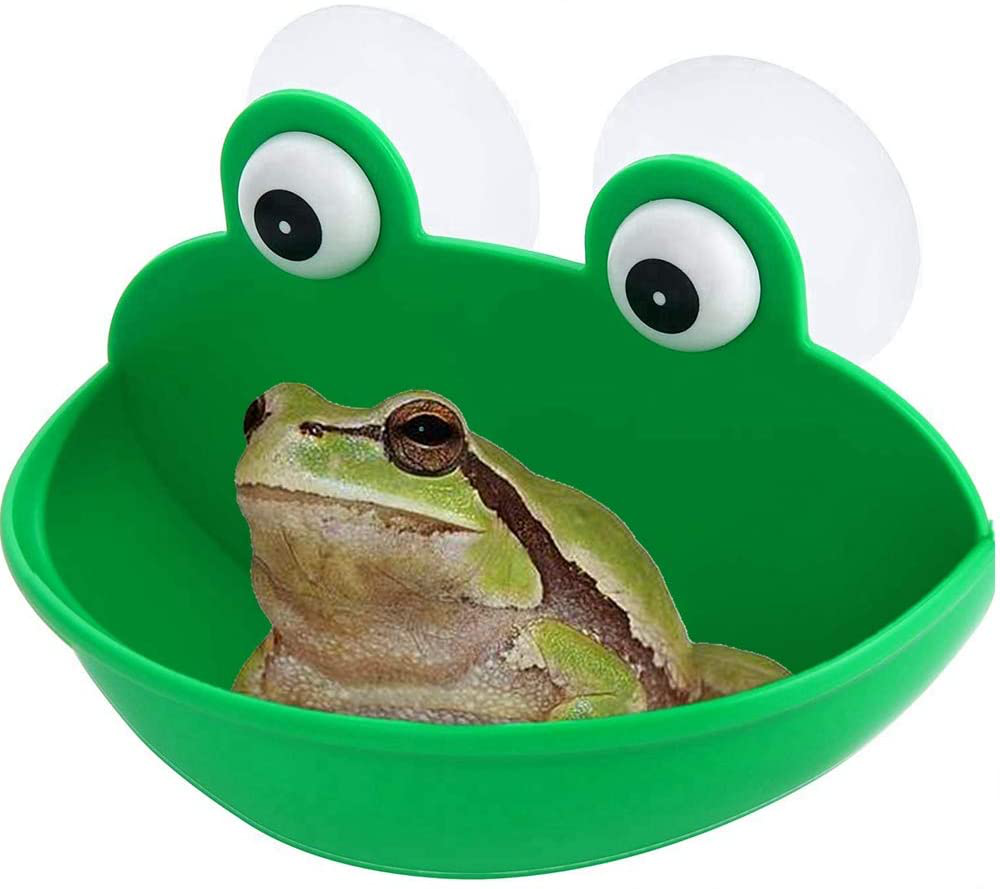 Aquatic 2024 frog habitat