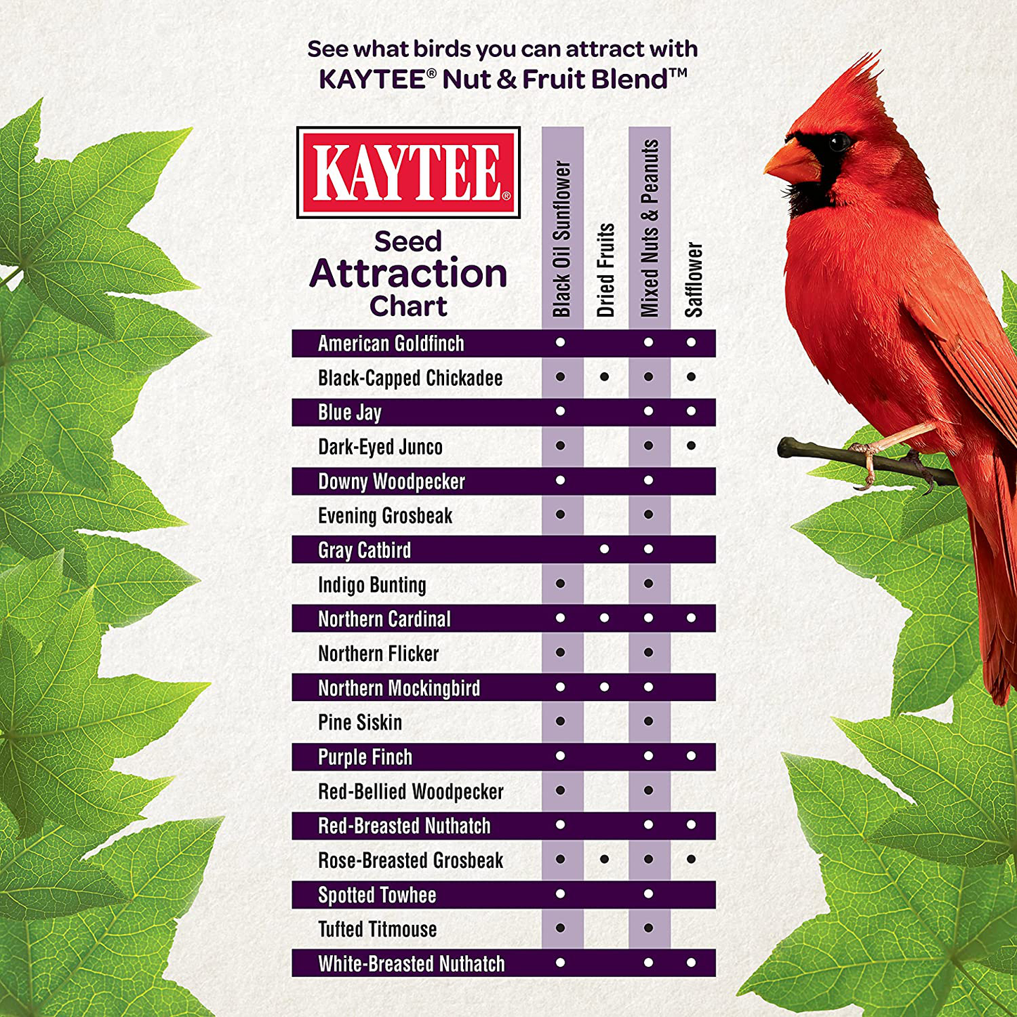 Kaytee Wild Bird Food Nut & Fruit Blend, 5 Pounds Animals & Pet Supplies > Pet Supplies > Bird Supplies > Bird Treats Kaytee   