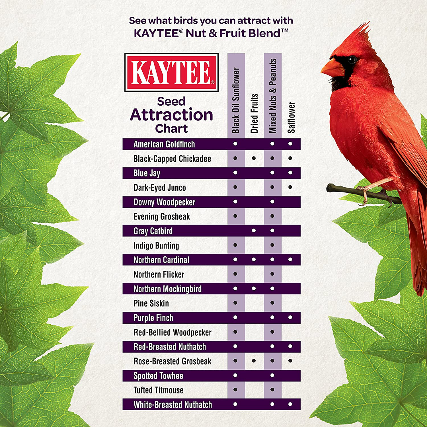 Kaytee Wild Bird Food Nut & Fruit Blend, 5 Pounds Animals & Pet Supplies > Pet Supplies > Bird Supplies > Bird Treats Kaytee   