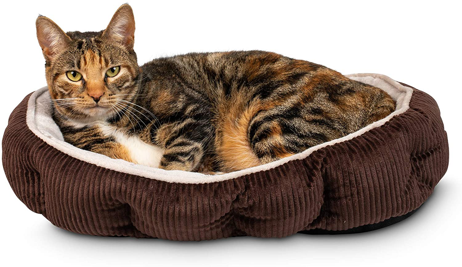 Pet Craft Supply Cat Bed for Indoor Cats - Kitten Bed - Machine Washable - Ultra Soft - Self Warming - Refillable Catnip Pouch Animals & Pet Supplies > Pet Supplies > Dog Supplies > Dog Beds R2PH0 Brown  