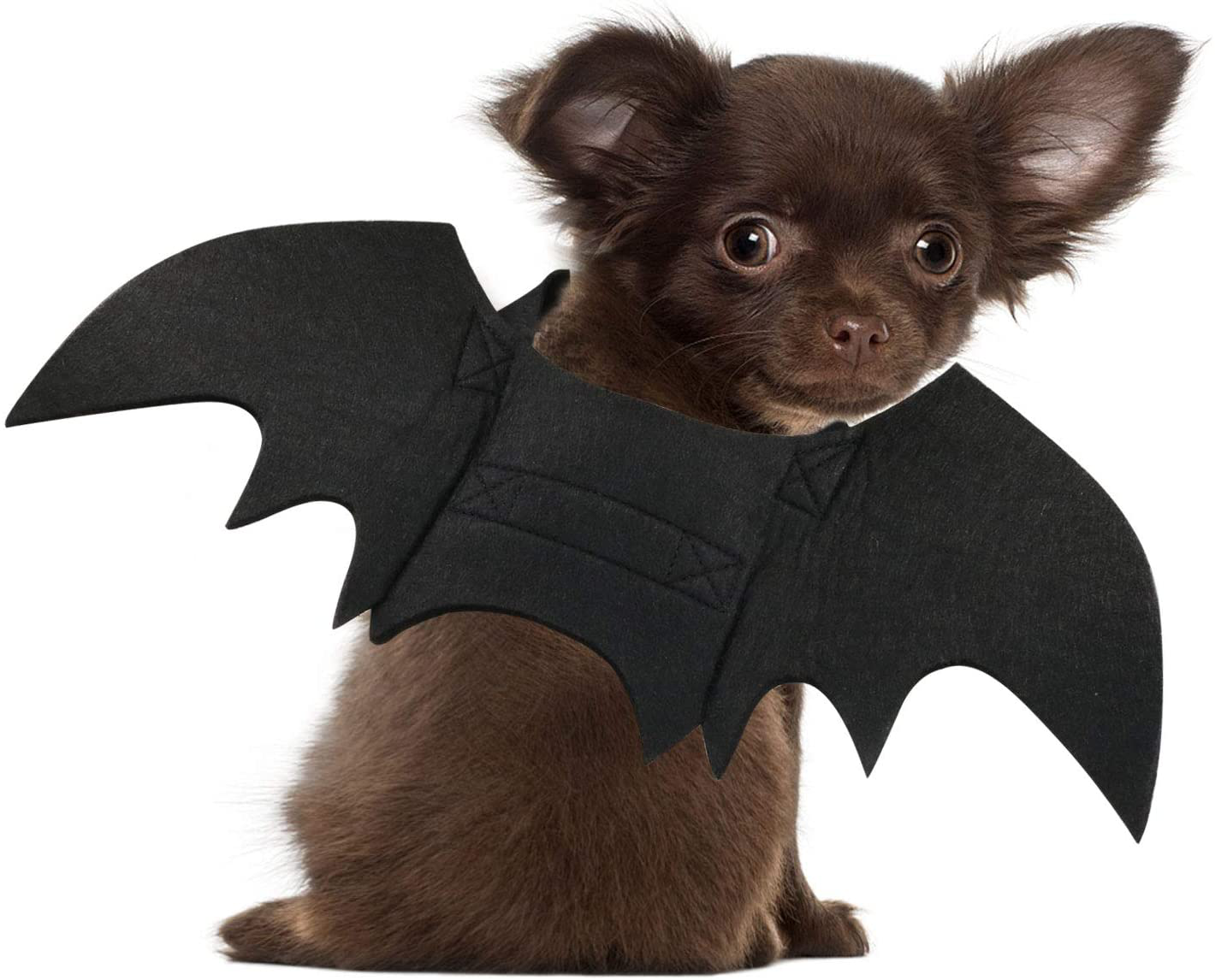 Rypet Dog Bat Costume - Halloween Pet Costume Bat Wings Cosplay Dog Costume Cat Costume for Party