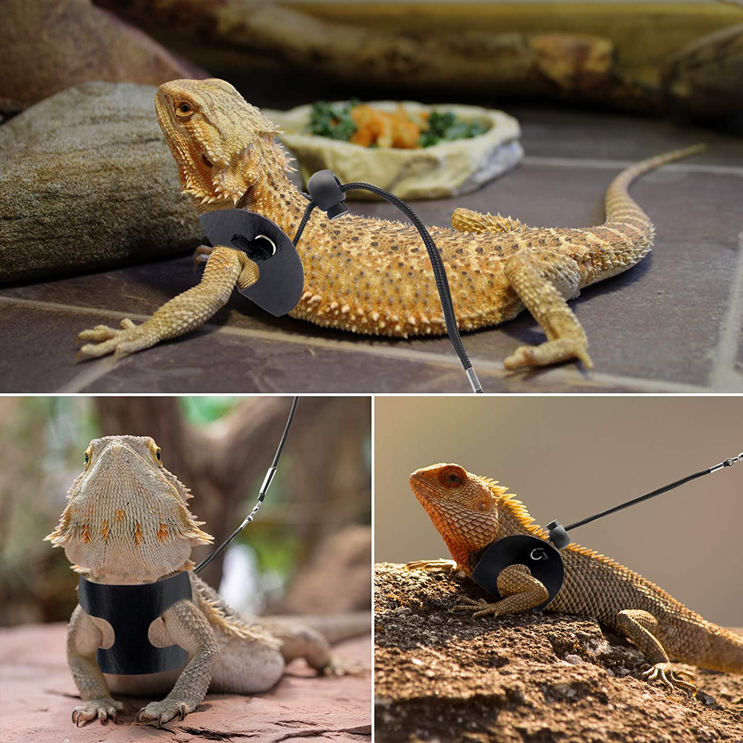 BWOGUE Bearded Dragon Harness and Leash Adjustable Leather Lizard Reptiles Harness Leash for Amphibians and Other Small Pet Animals (S,M,L,3 Pack) Animals & Pet Supplies > Pet Supplies > Reptile & Amphibian Supplies > Reptile & Amphibian Habitat Accessories BWOGUE   