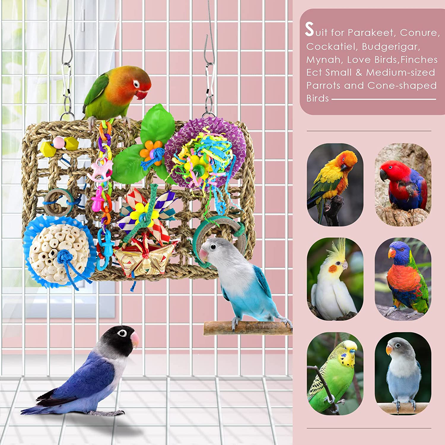 KATUMO Bird Toys, Bird Foraging Wall Toy Edible Seagrass Woven Climbing Hammock Mat with Natural Sola Cake Ball Colorful Chew Toys for Parakeet, Budgerigar, Conure, Cockatiel, Lovebird, Parrots Animals & Pet Supplies > Pet Supplies > Bird Supplies > Bird Toys KATUMO   