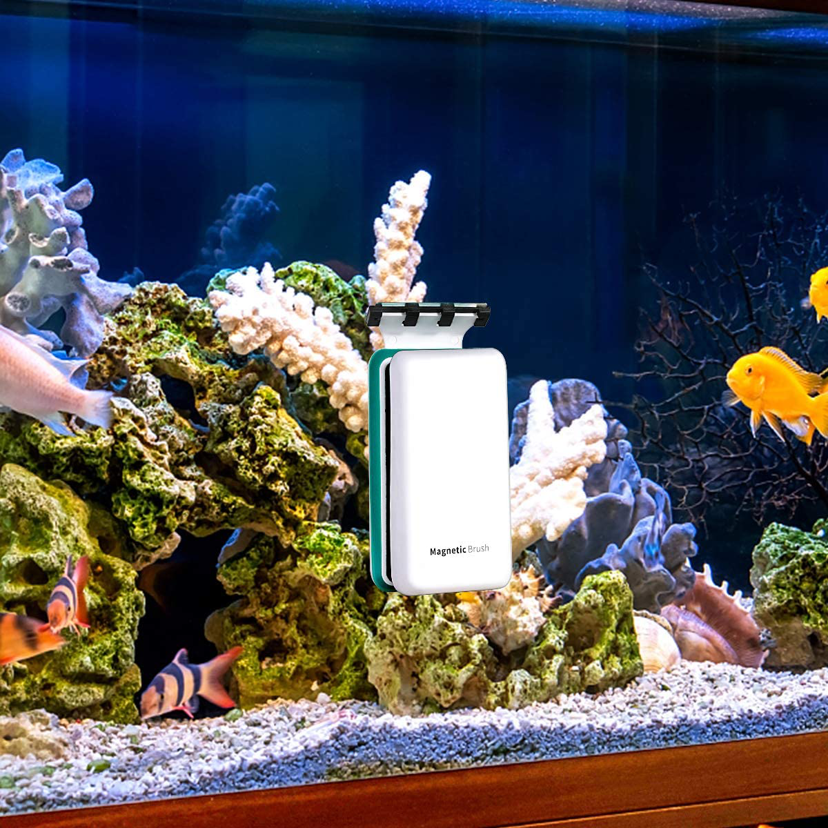 KEDSUM Magnetic Aquarium Tank Algae Scrapers, 2-In-1 Fish Tank Glass Cleaner, Floating Scrubber Clean Brush with 2 Blades [Scratch-Free, Non-Slip, Magnetizing] Animals & Pet Supplies > Pet Supplies > Fish Supplies > Aquarium Cleaning Supplies KEDSUM   