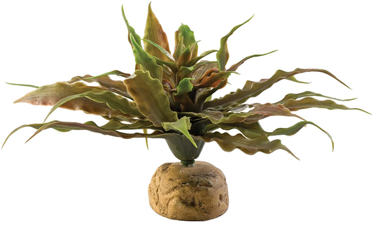 Exo Terra Desert Ground Plant, Reptile Terrarium Decoration Animals & Pet Supplies > Pet Supplies > Reptile & Amphibian Supplies > Reptile & Amphibian Substrates Exo Terra Star Cactus One Size 