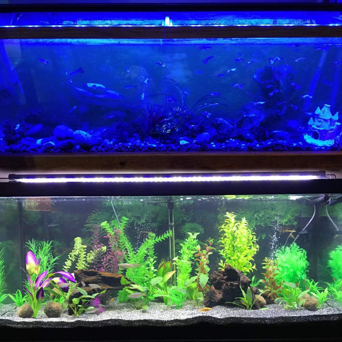 Mingdak Full Spectrum LED Aquarium Light,Fish Tank Light with Aluminum Housing Extendable Brackets,White Blue Red Green Leds for Freshwater Plants,48 to 54-Inch,6500K Animals & Pet Supplies > Pet Supplies > Fish Supplies > Aquarium Lighting MingDak   