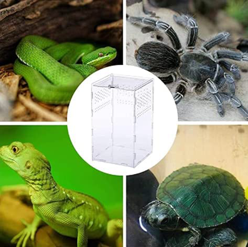 AWANBB Reptile Habitat-Insect Feeding Box for Reptiles and Amphibians, 12X12X20Cm Acrylic Reptile Transparent Breeding Case for Spide, Lizard, Scorpion, Centipede, Horned Frog, Beetle Animals & Pet Supplies > Pet Supplies > Reptile & Amphibian Supplies > Reptile & Amphibian Habitats AWANBB   