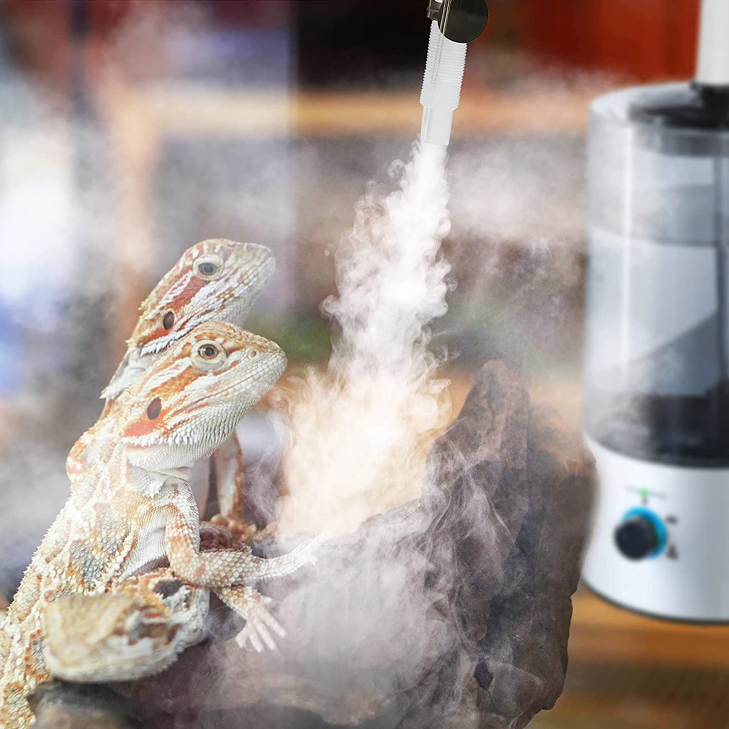 Dreyoo Reptile Humidifier Fogger, 4L Cool Mist Fog Mister with Tube for Tortoise Habitat Chameleon Snake Amphibians, Compatible with All Terrariums, Cages and Enclosures Animals & Pet Supplies > Pet Supplies > Reptile & Amphibian Supplies > Reptile & Amphibian Habitat Accessories Dreyoo   
