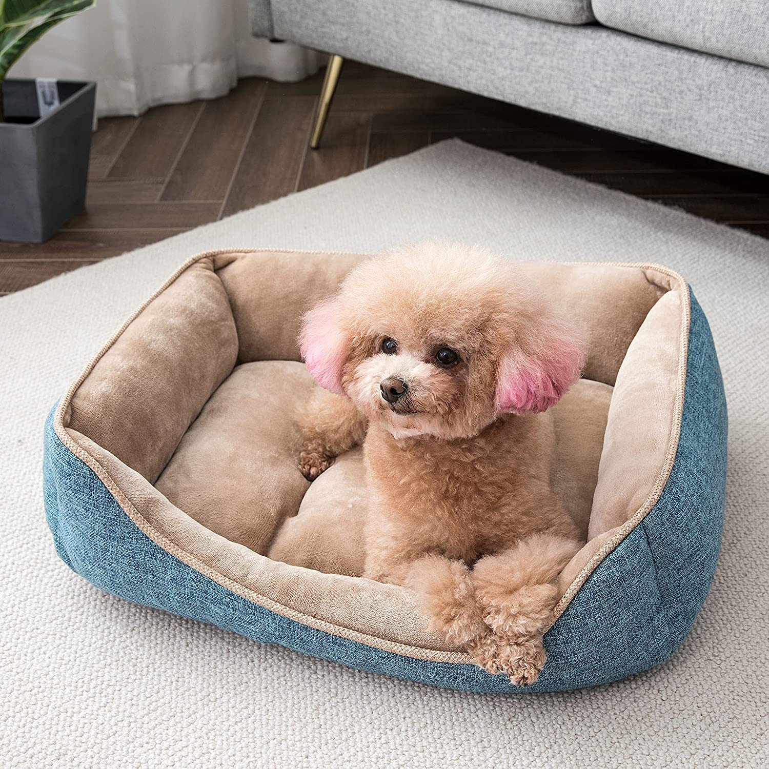 Perodo Square Dog Bed Sleeping Bed Pet Bed Pet Supplies Ultra Soft Anti-Slip and Durable Bed Animals & Pet Supplies > Pet Supplies > Dog Supplies > Dog Beds Perodo Blue 24x18 