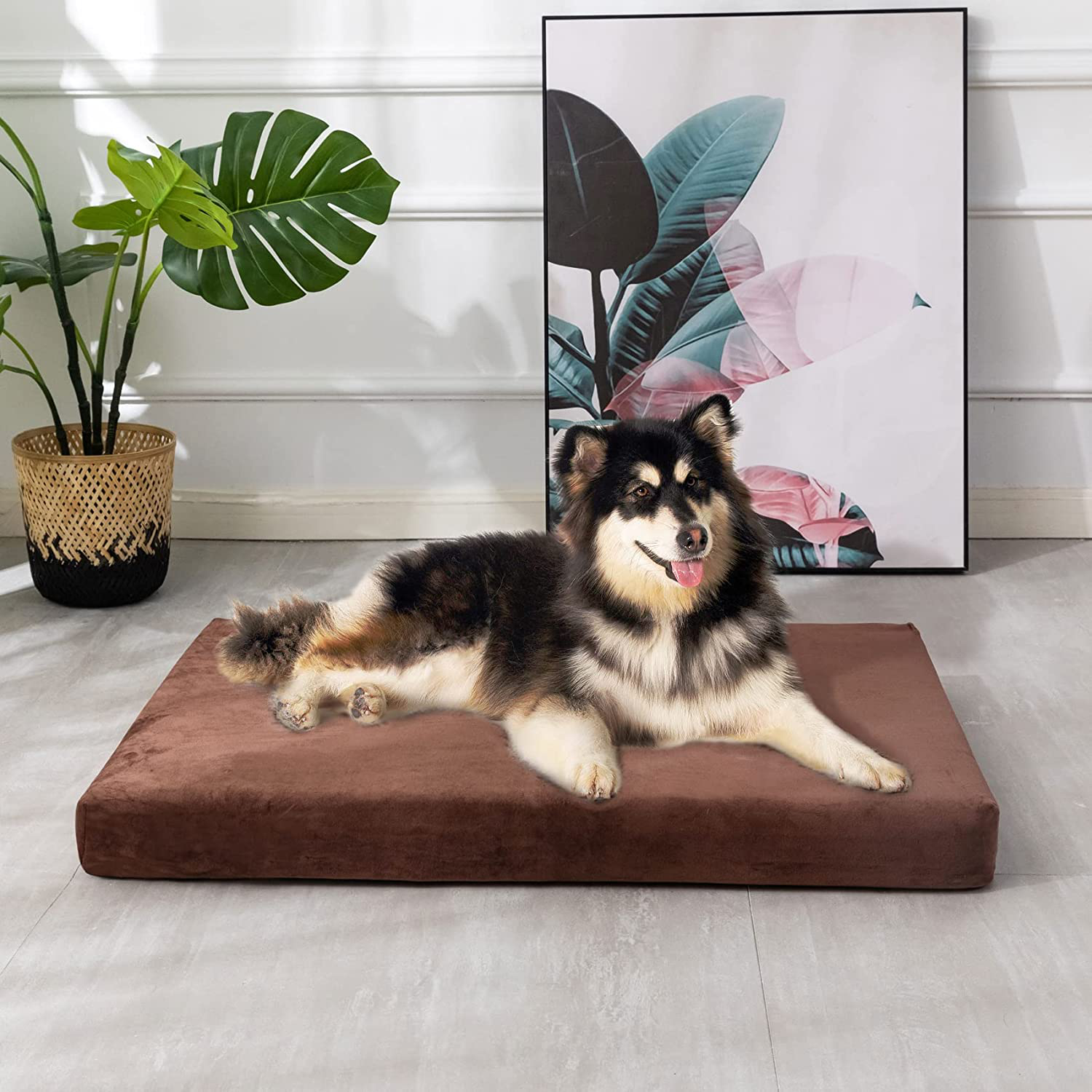 Beamlike 2 in 1 Waterproof Orthopedic Memory Foam Dog Sofa Bed