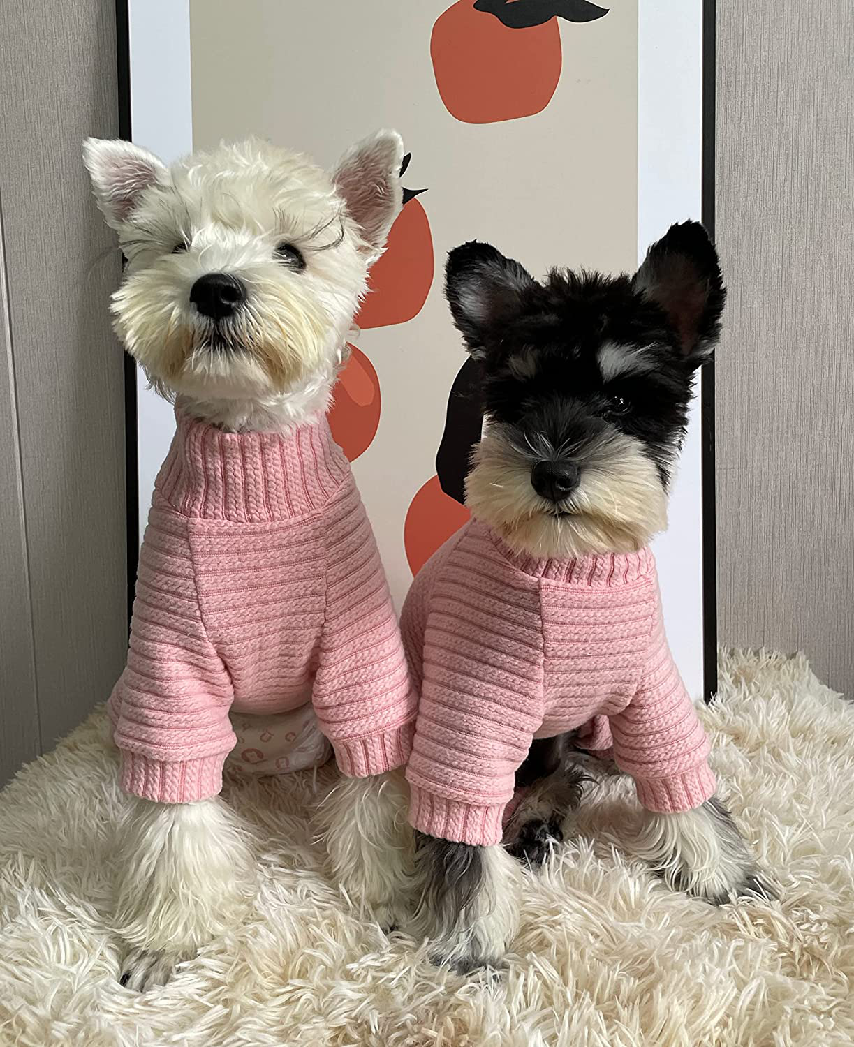 KILLUA Turtleneck Knitted Dog Pajamas Sweater Puppy Thermal Doggie Winter Clothes Knitwear Pet Coats Cat Apparel Animals & Pet Supplies > Pet Supplies > Cat Supplies > Cat Apparel KILLUA   