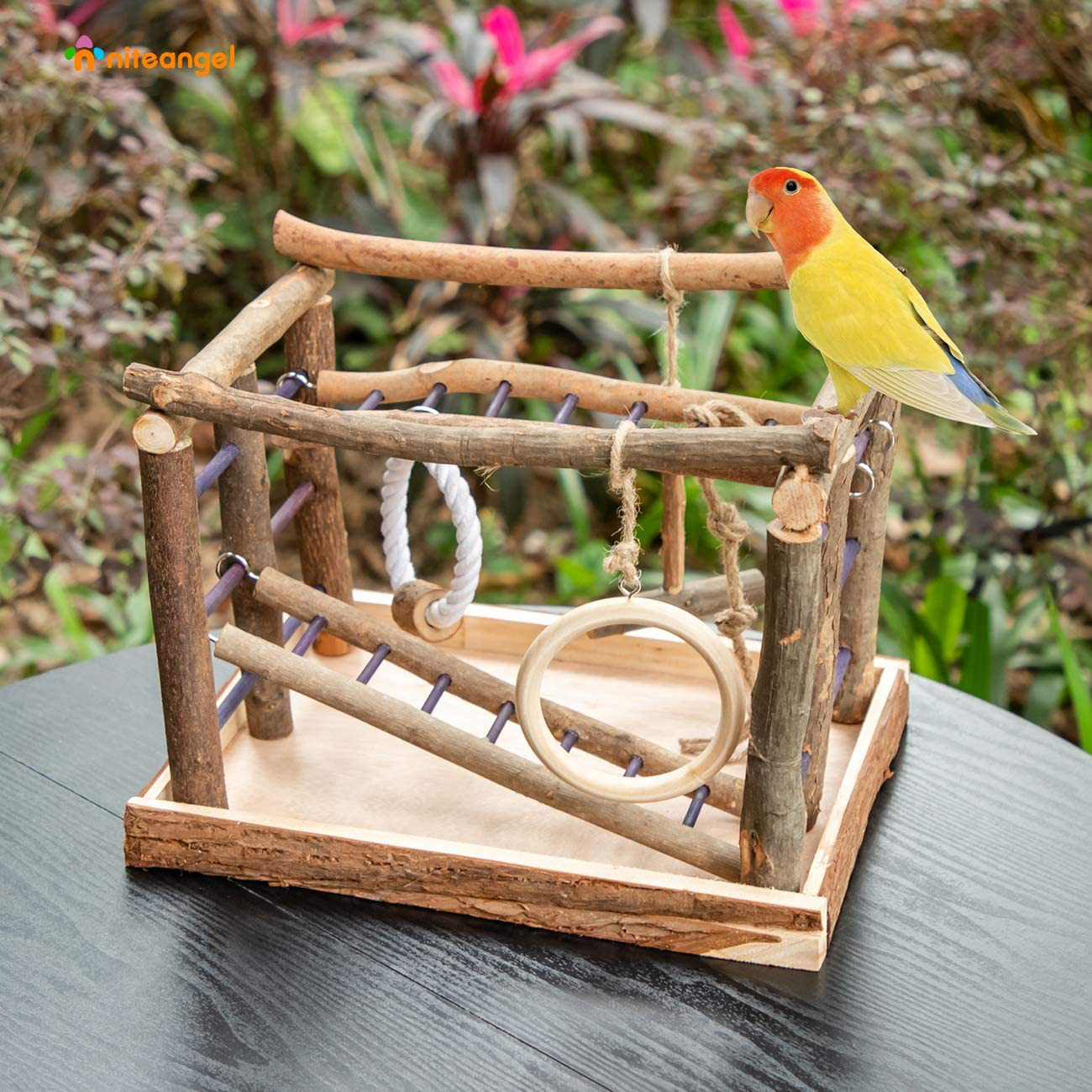 Niteangel Natural Living Playground for Birds, Bird Activity Center Animals & Pet Supplies > Pet Supplies > Bird Supplies > Bird Cages & Stands Niteangel   